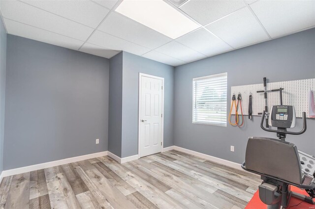 exercise room featuring a paneled ceiling and light hardwood / wood-style floors