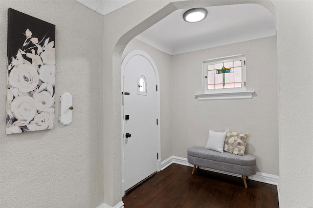 entryway featuring dark hardwood / wood-style floors