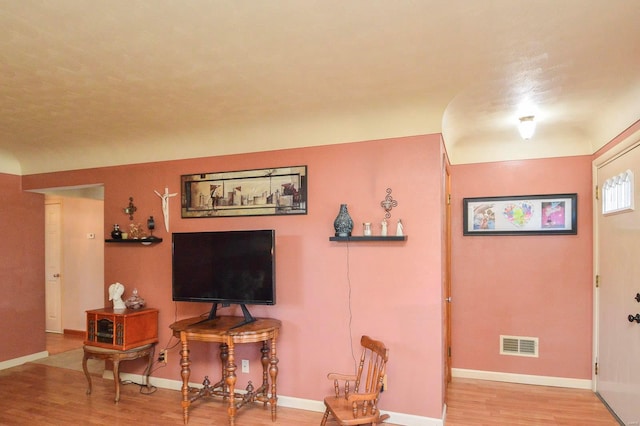 living room featuring light hardwood / wood-style flooring