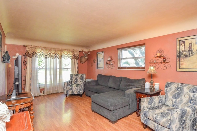 living room with a wealth of natural light and light hardwood / wood-style flooring