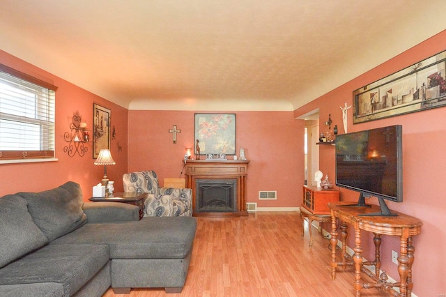 living room featuring light hardwood / wood-style flooring