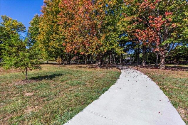 view of home's community with a lawn