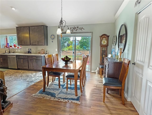 dining room with sink, a chandelier, and hardwood / wood-style flooring