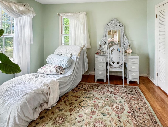 bedroom featuring multiple windows and wood-type flooring