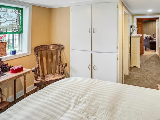 carpeted bedroom featuring a closet