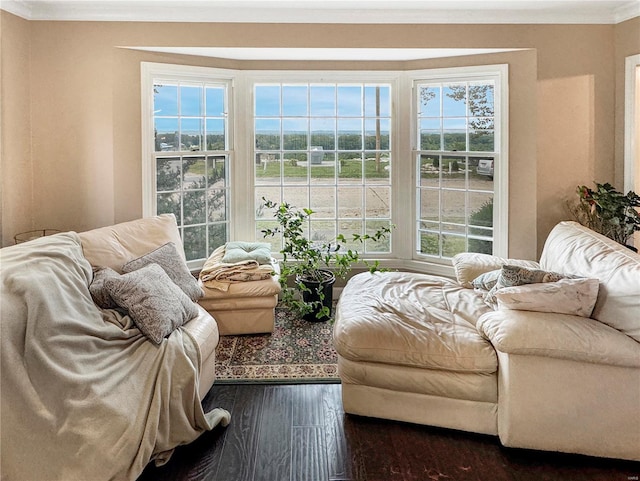 living room with crown molding, dark hardwood / wood-style flooring, and a wealth of natural light