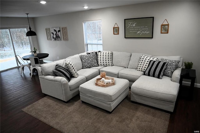 living room featuring dark wood-type flooring