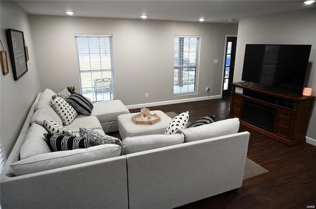 living room with dark hardwood / wood-style floors