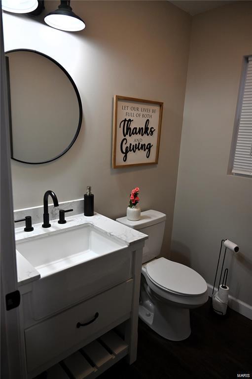 bathroom with vanity, toilet, and wood-type flooring