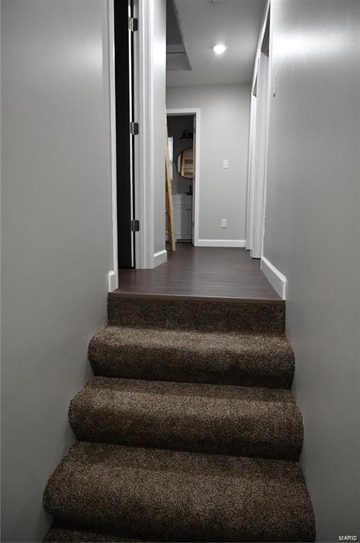 stairway featuring wood-type flooring