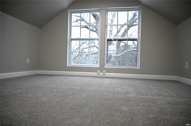 additional living space featuring lofted ceiling and carpet