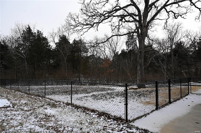 view of yard covered in snow