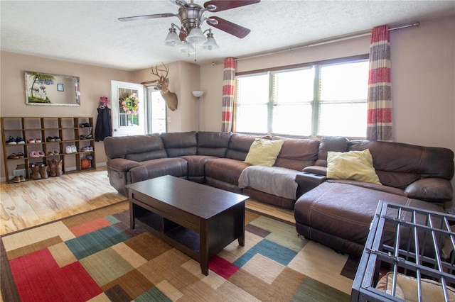 living room featuring a textured ceiling, light hardwood / wood-style floors, and ceiling fan