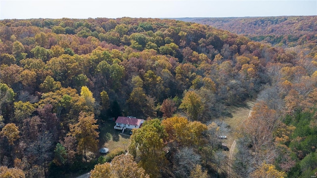 bird's eye view