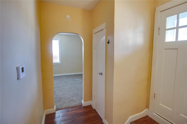 hallway featuring a wealth of natural light and dark hardwood / wood-style floors