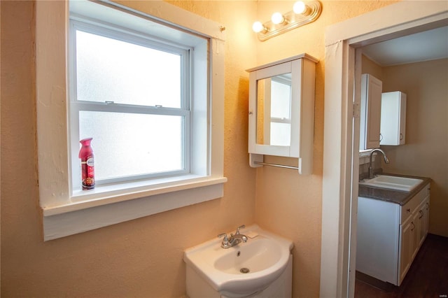 bathroom with vanity and plenty of natural light