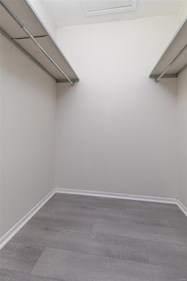 walk in closet with hardwood / wood-style flooring