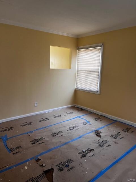 spare room with ornamental molding