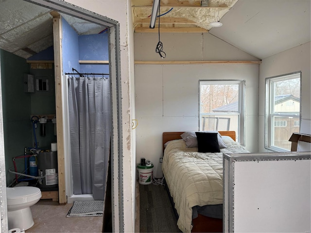 bedroom with lofted ceiling