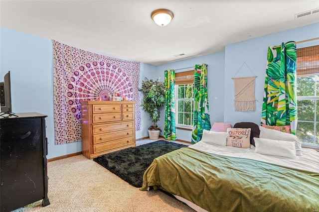 bedroom with carpet floors