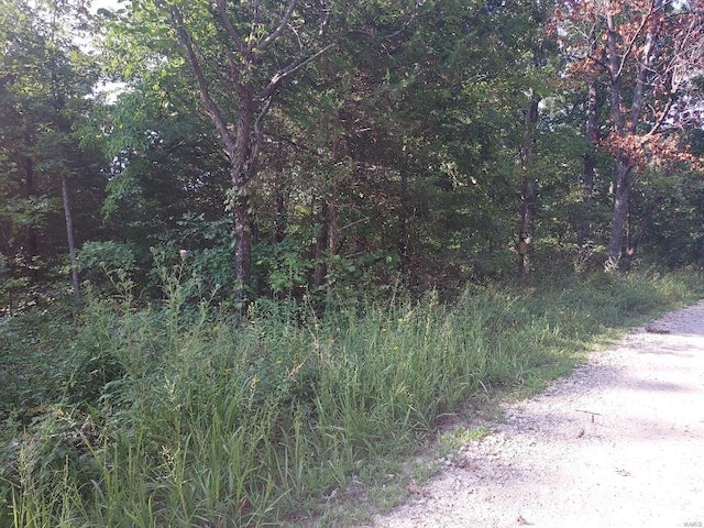 0 Alpine Rd, Grubville MO, 63041 land for sale