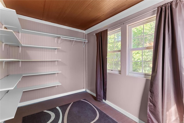 spacious closet featuring dark hardwood / wood-style flooring