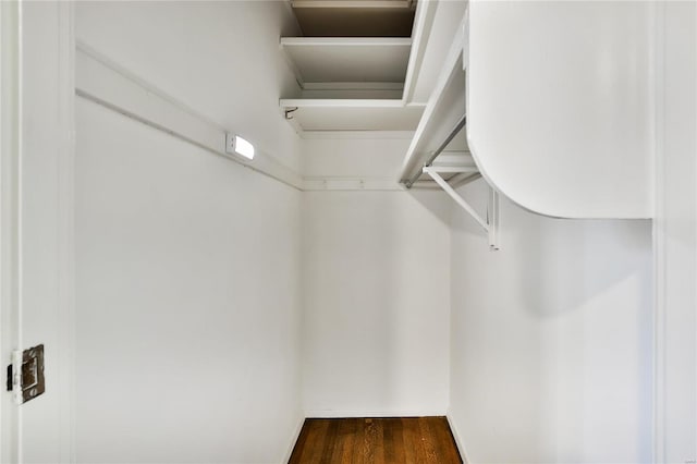 spacious closet with dark wood-type flooring