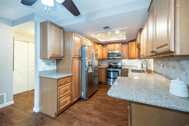 kitchen featuring sink, dark wood-type flooring, tasteful backsplash, a tray ceiling, and appliances with stainless steel finishes