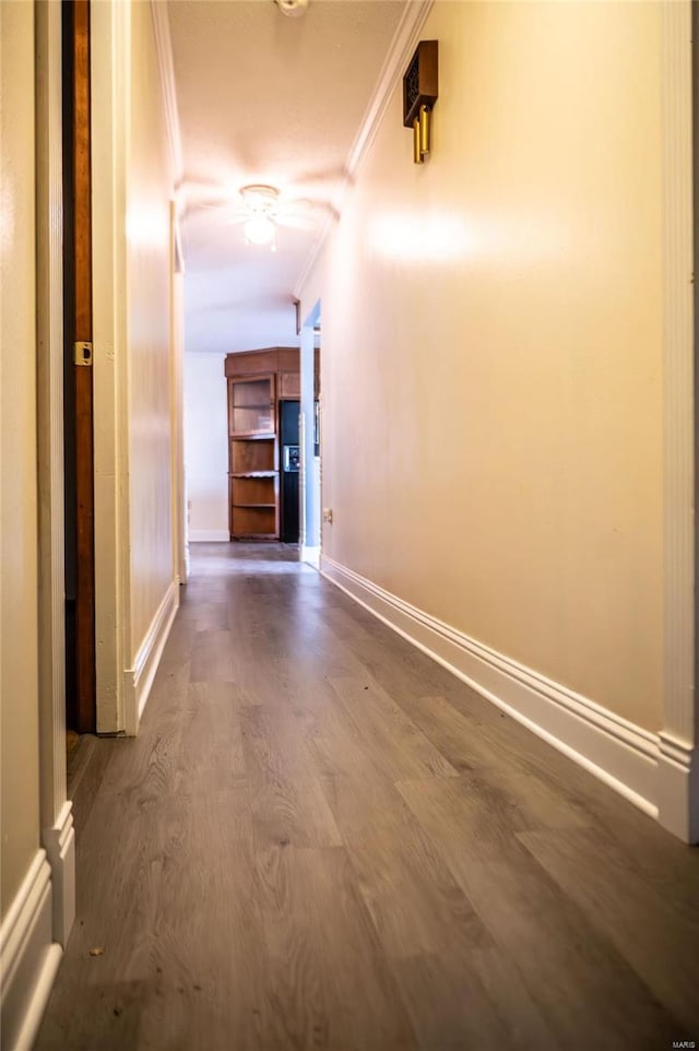 hallway featuring crown molding and dark hardwood / wood-style flooring