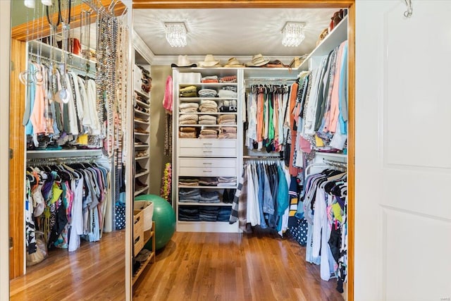 spacious closet with hardwood / wood-style floors