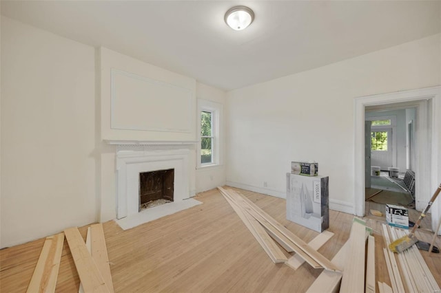 living room with wood-type flooring