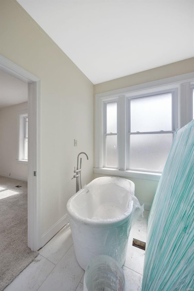 bathroom with a tub and a wealth of natural light