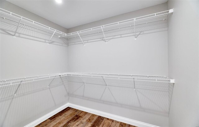 spacious closet featuring wood finished floors