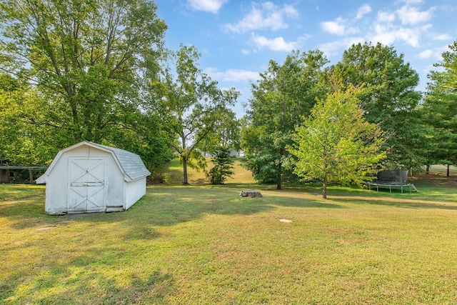 view of yard with a trampoline and a storage shed