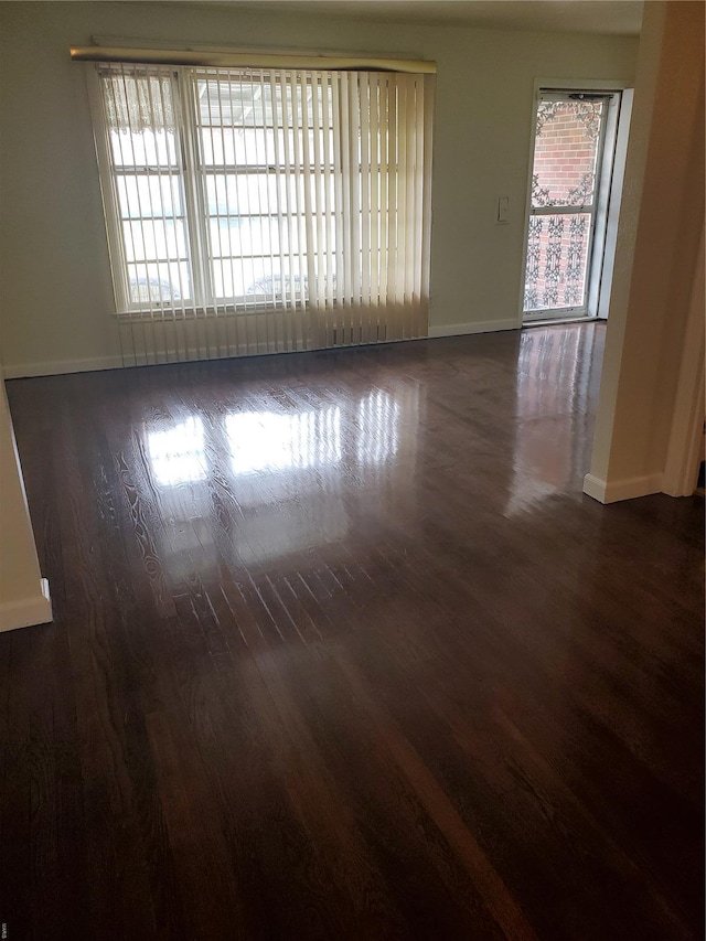 spare room with baseboards, wood finished floors, and a wealth of natural light