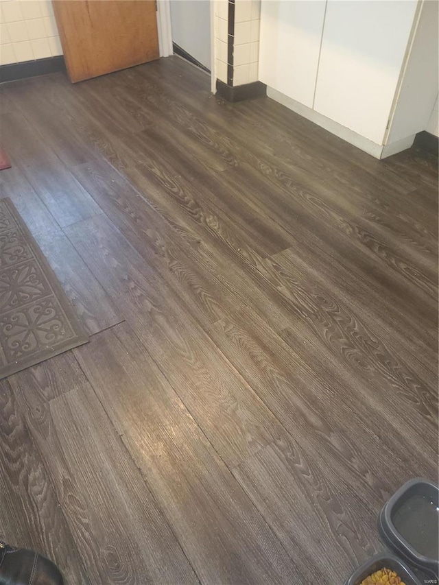interior details with baseboards and wood finished floors