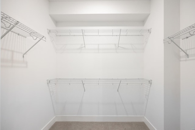 walk in closet featuring carpet floors