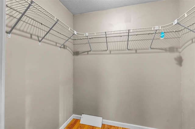 spacious closet featuring hardwood / wood-style flooring