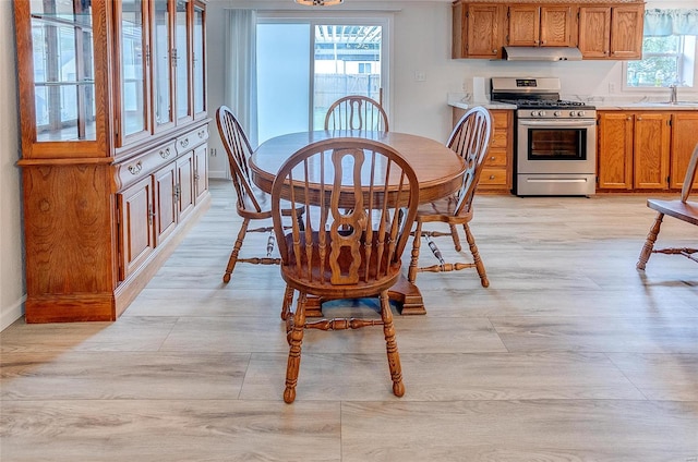 dining space with sink and a healthy amount of sunlight