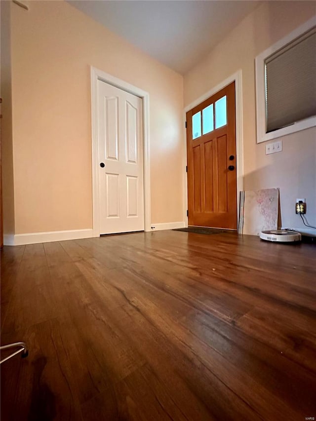 foyer featuring dark wood-type flooring