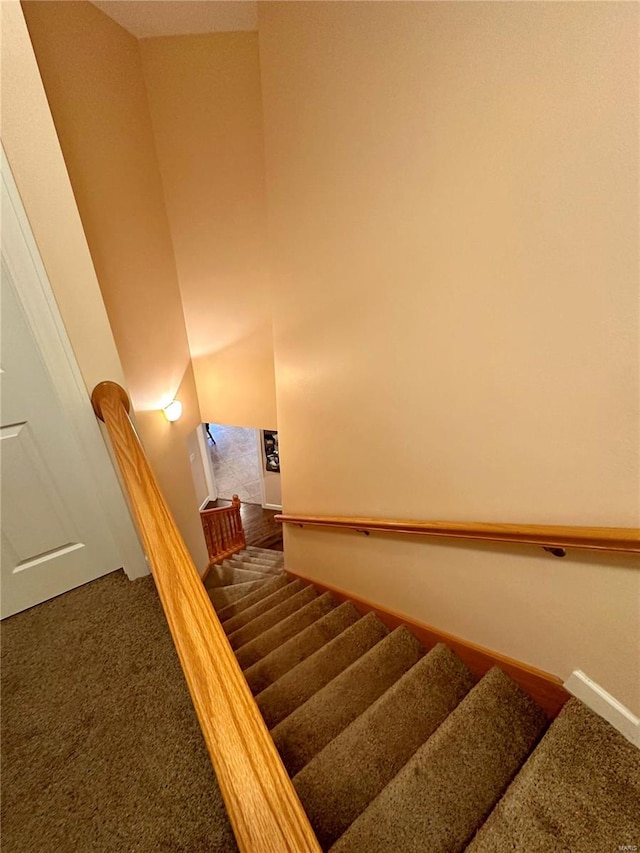 stairs with carpet floors