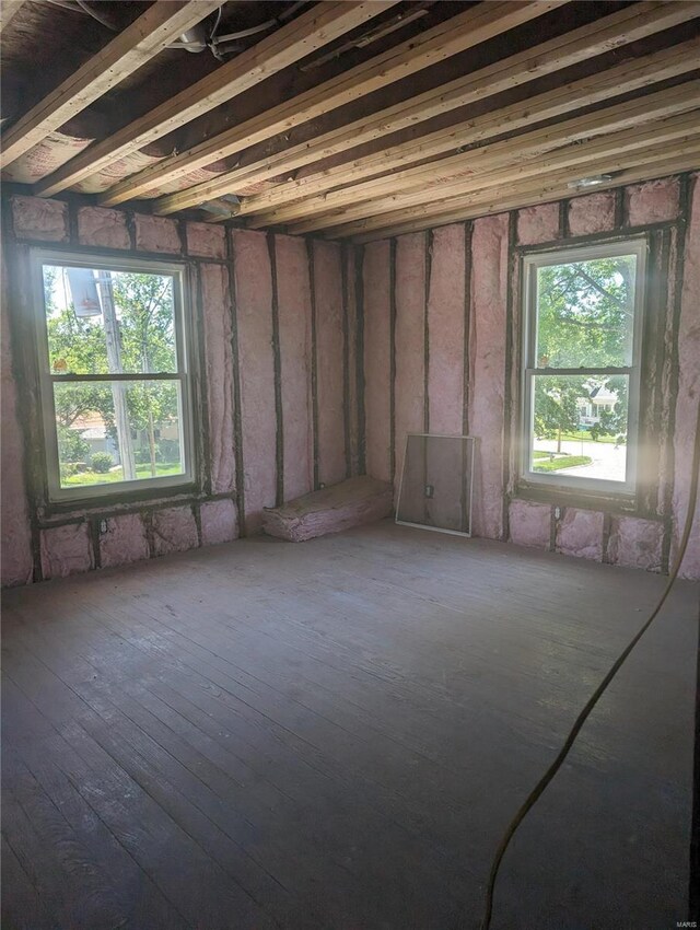 misc room with a wealth of natural light and hardwood / wood-style flooring