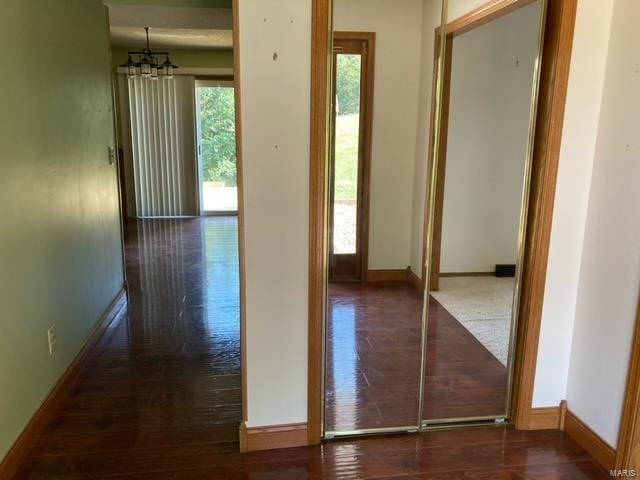 corridor with dark hardwood / wood-style flooring and a notable chandelier