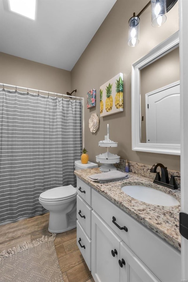 bathroom featuring vanity, toilet, and a shower with shower curtain