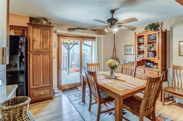 dining area with light hardwood / wood-style flooring and ceiling fan