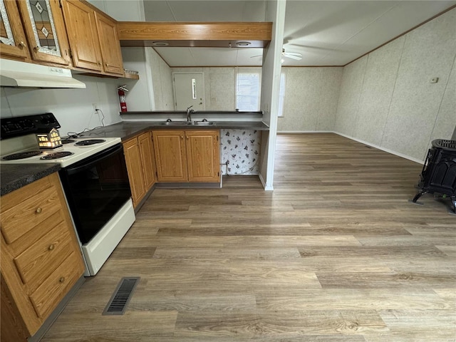 kitchen with light wood-type flooring, white range with electric stovetop, ceiling fan, and sink