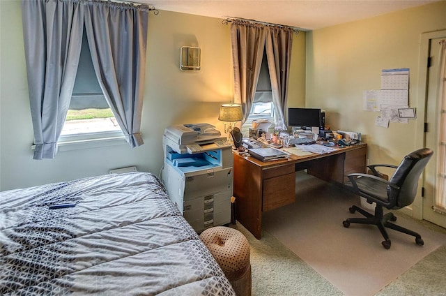 bedroom with carpet flooring