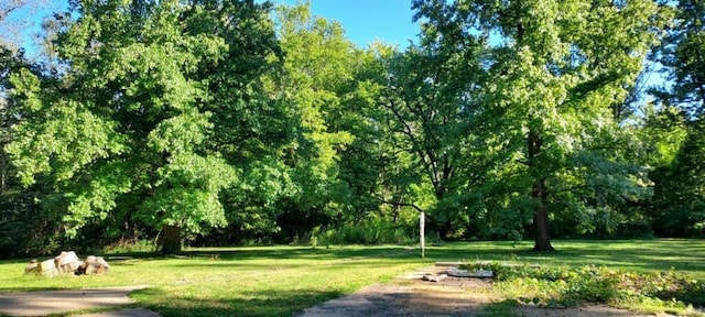 surrounding community featuring a lawn