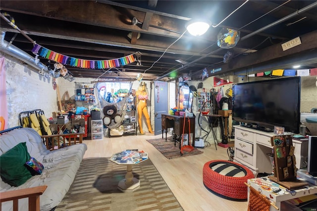 basement with hardwood / wood-style flooring