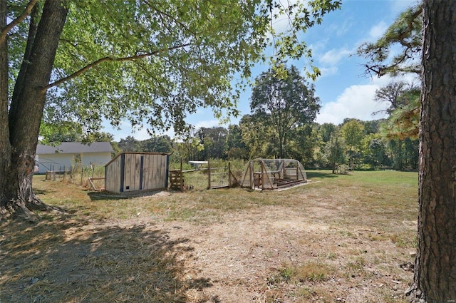 view of yard featuring a storage shed